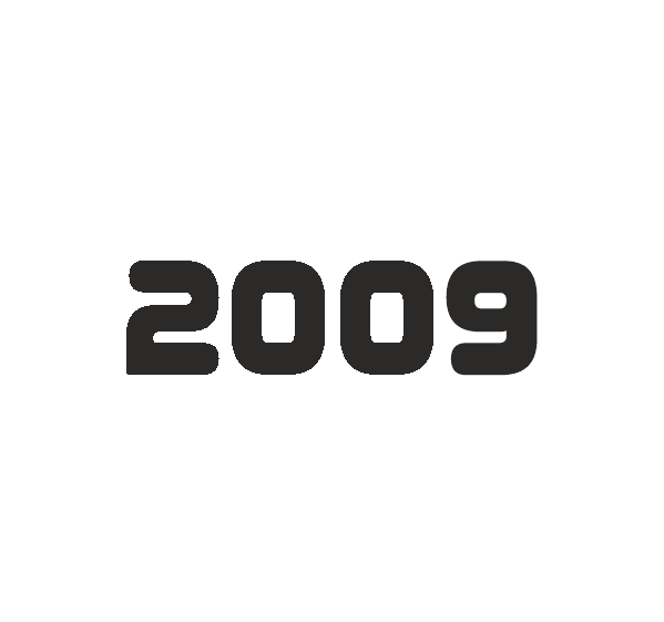 2009 Year